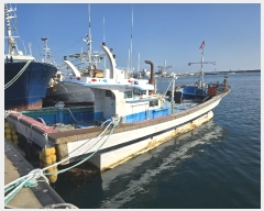  2024Ÿ779  ׺         ڰ