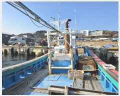  2024Ÿ779  ׺         ڰ