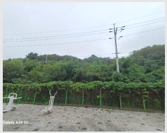  2024Ÿ��830 ��� ������ ������ â���� 199      ����(��)���