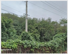  2024Ÿ��830 ��� ������ ������ â���� 199      ����(��)���