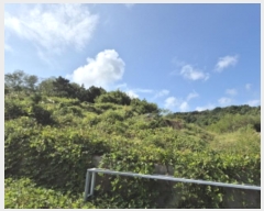  2024Ÿ��830 ��� ������ ������ â���� 199      ����(��)���