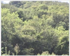  2024Ÿ��830 ��� ������ ������ â���� 199      ����(��)���