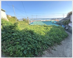  2024Ÿ991   ׺  309-4      ()