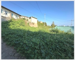  2024Ÿ991   ׺  309-4      ()