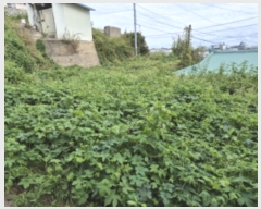  2024Ÿ991   ׺  309-4      ()