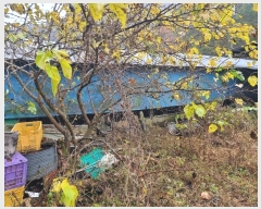  2024Ÿ1017  籺  籸 107-6      ()