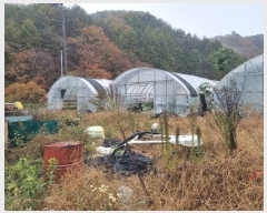  2024Ÿ1017  籺  籸 107-6      ()