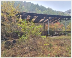  2024Ÿ1017  籺  籸 107-6      ()