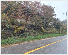  2024Ÿ1017  籺  籸 107-6      ()