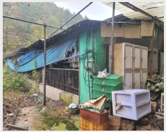  2024Ÿ1017  籺  籸 107-6      ()