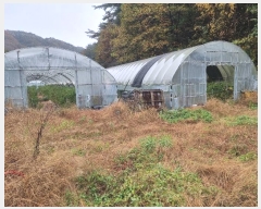  2024Ÿ1017  籺  籸 107-6      ()