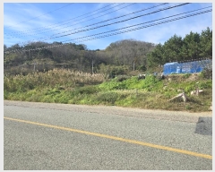  2024Ÿ��1079 ��� ������ ������ â���� 116-3      ����(��)���