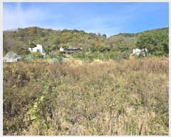  2024Ÿ��1079 ��� ������ ������ â���� 116-3      ����(��)���