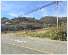  2024Ÿ��1079 ��� ������ ������ â���� 116-3      ����(��)���