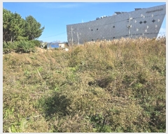  2024Ÿ��1079 ��� ������ ������ â���� 116-3      ����(��)���