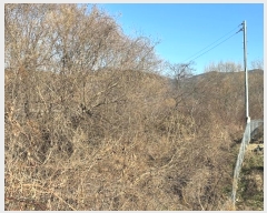  2024Ÿ1130   ǰ ǰ 257      (1)