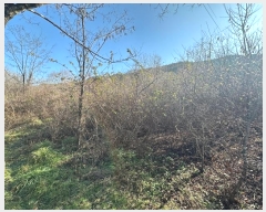  2024Ÿ1130   ǰ ǰ 257      (1)