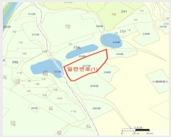  2024Ÿ1130   ǰ ǰ 257      (1)