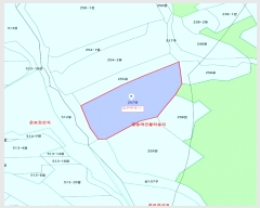  2024Ÿ1130   ǰ ǰ 257      (1)