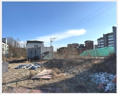  2024Ÿ1253     529      (1)