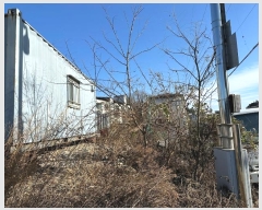  2024Ÿ1253     529      (1)