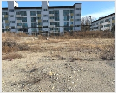  2024Ÿ1253     529      (1)