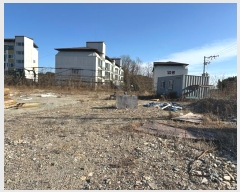  2024Ÿ1253     529      (1)