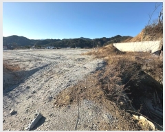  2024Ÿ1253     529      (1)