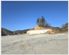  2024Ÿ��1277 ��� ������ ������ ������ 530-76      ����(��1)���