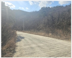  2024Ÿ��1314 ��� ������ ������ ������ ��112      ����(�Ӿ�)���