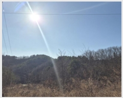  2024Ÿ��1314 ��� ������ ������ ������ ��112      ����(�Ӿ�)���