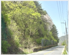  2024Ÿ10479  籺 û û 15-1      (Ӿ)