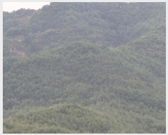  2024Ÿ10479  籺 û û 15-1      (Ӿ)