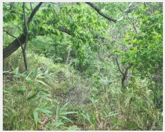  2024Ÿ10530   ϸ θ 1267      (1)