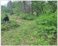  2024Ÿ10530   ϸ θ 1267      (1)