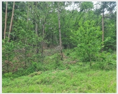  2024Ÿ10530   ϸ θ 1267      (1)