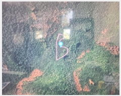  2024Ÿ10530   ϸ θ 1267      (1)