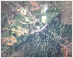  2024Ÿ10530   ϸ θ 1267      (1)