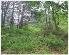  2024Ÿ10530   ϸ θ 1267      (1)