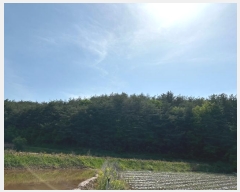  2024Ÿ��10615 ��� ���籺 ����� �ſ��� ��68      ����(�Ӿ�)���