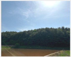  2024Ÿ��10615 ��� ���籺 ����� �ſ��� ��68      ����(�Ӿ�)���