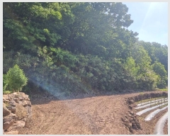  2024Ÿ10653   ޻ 긮 227-3      ()