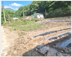  2024Ÿ10653   ޻ 긮 227-3      ()