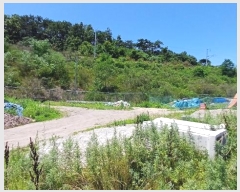  2024Ÿ10950     106-1      