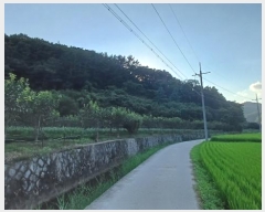  2024Ÿ��11113 ��� ������ ������ ���긮 492      ����(��)���