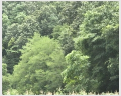  2024Ÿ��11113 ��� ������ ������ ���긮 492      ����(��)���