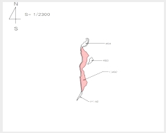  2024Ÿ��11113 ��� ������ ������ ���긮 492      ����(��)���