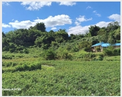  2024Ÿ��11410 ��� ������ ������ ���θ� 1281      ����(��1)���