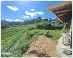  2024Ÿ��11410 ��� ������ ������ ���θ� 1281      ����(��1)���