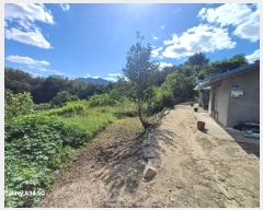  2024Ÿ��11410 ��� ������ ������ ���θ� 1281      ����(��1)���